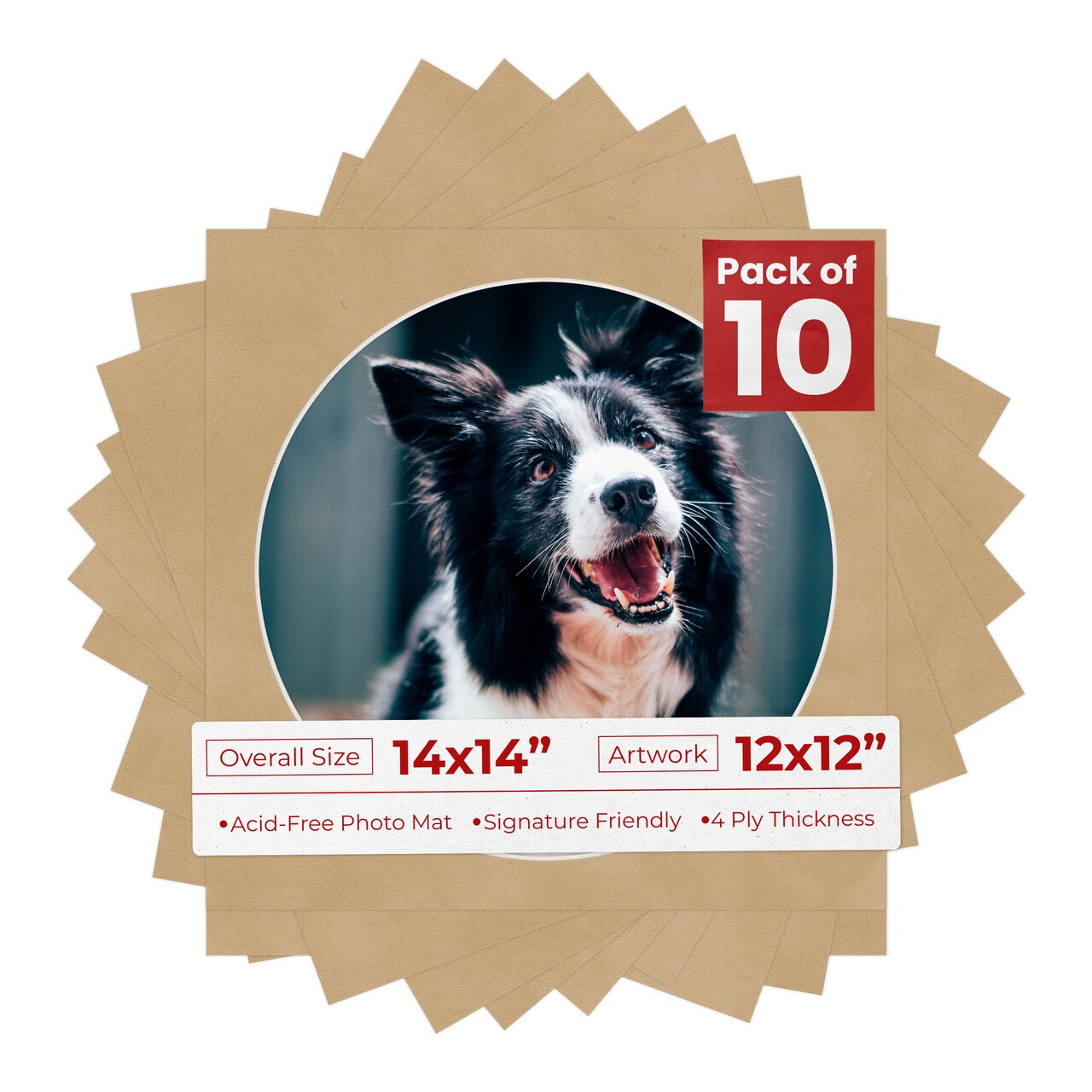 Beige Suede Mat Board for 14x14 Frames - Circle Opening for 12x12 Photos